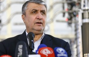 رییس سازمان انرژی اتمی: رفتار مدیرکل آژانس بین المللی حرفه‌ای نیست