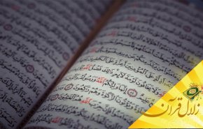 منظور از یقیمون الصلوة مذکور در آیه 55 سوره مبارکه مائده چیست؟
