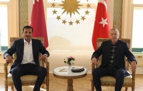 امیر قطر با اردوغان در استانبول دیدار کرد
