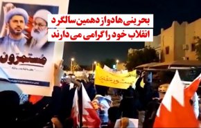 ویدئوگرافیک | بحرینی ها دوازدهمین سالگرد انقلاب خود را گرامی می دارند 