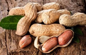 علماء يطورون عقارا يمنع ظهور الحساسية من 'الفول السوداني'