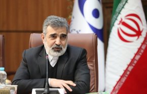 کمالوندی: تاکنون اقدام به غنی سازی بالای ۶۰ درصد نکرده‌ایم