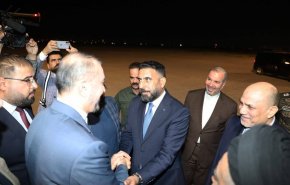 امیر عبداللهیان وارد نجف شد