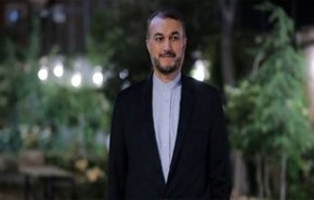 امير عبداللهيان يصل الى النجف الاشرف