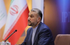 وزیر خارجه فنلاند با امیرعبداللهیان در ژنو دیدار کرد