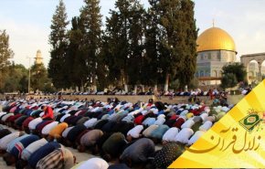 نمازگزار برای رسیدن به حقیقت «سجده» چه اقداماتی باید انجام دهد؟