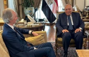 شكري يبلغ بيدرسن حرص مصر على حل سياسي في سوريا وفقا للقرار 2254