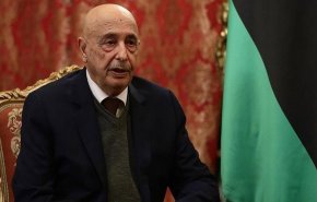ليبيا.. صالح يلمح لخارطة طريق جديدة بشأن الإنتخابات