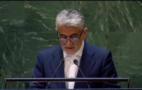 ایروانی: اقدامات قهری یکجانبه دستیابی به اهداف توسعه پایدار را با مانع مواجه کرده است