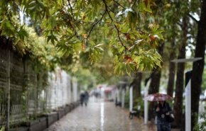 کاهش ۵ تا ۱۵ درجه‌ای دما در استان‌های ساحلی خزر و غرب کشور/ بارش باران در نقاط مختلف