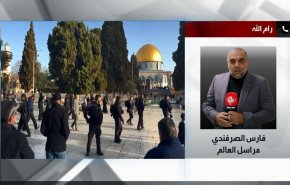 شاهد.. المستجد في هتك حرمة المسجد الاقصى المبارك