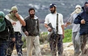 مستوطنون يقتحمون وسط مدينة الخليل و بلدة “يطا”