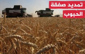 روسيا تتردد في اتفاق تصدير الحبوب ضمن الوضع الراهن