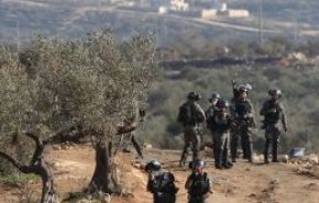 زخمی شدن فلسطینیان در حمله شهرک نشینان و ادامه هتک حرمت به مسجدالاقصی 
