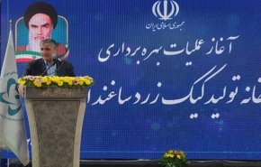 اسلامی اعلام کرد: افزایش ۵۰ درصدی تولید کیک زرد/ بهره‌برداری از ۱۰ معدن تا پایان سال