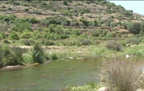 طرح رژیم صهیونیستی برای الحاق مناطق حفاظت شده در کرانه باختری و نوار غزه