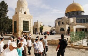 تجاوز صدها شهرک نشین صهیونیست به مسجد الاقصی با حمایت گسترده پلیس رژیم اشغالگر