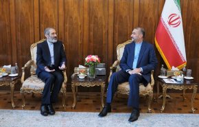 دیدار دیپلمات آزاد شده ایرانی از زندان بلژیک با امیرعبداللهیان