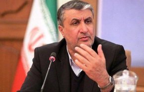 اسلامی: غنی‌سازی با خلوص بالا اقدام راهبردی برای رفع تحریم است/همچنان در تعامل با آژانس بین‌المللی انرژی هستیم