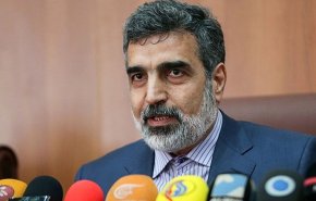 کمالوندی: جهان به دنبال خرید آب‌ سنگین ایران است/ اظهار خوشحالی رهبر انقلاب از دستاوردهای صنعت هسته‌ای/ صنعت هسته ای کشور ارزش افزوده اقتصادی صدها میلیارد دلاری دارد