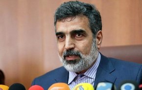 کمالوندی: چشم انداز سازمان انرژی اتمی تجاری کردن صنعت هسته‌ای است