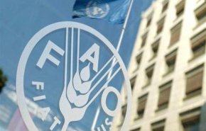 فائو: ایران بزرگ‌ترین صادرکننده لبنیات در آسیا است
