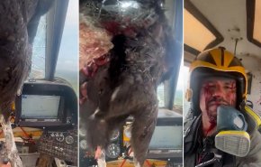 طائر يقتحم قمرة القيادة في سماء الإكوادور ويلطخ الطيار بالدماء