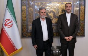 دیدار و گفتگوی دبیر کل جنبش جهاد اسلامی فلسطین با وزیر امور خارجه کشورمان