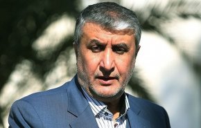 اسلامی: تعهد جدیدی خارج از پادمان با آژانس نداشتیم/ نصب 100 دوربین جدید را تکذیب می کنم