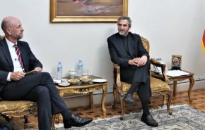 دیدار دیپلمات نروژی با علی باقری
