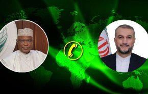 امیرعبداللهیان خواستار برگزاری نشست اضطراری وزیران سازمان همکاری اسلامی شد

