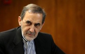 ولایتی: احیای روابط با مصر خیلی مهم است/ احتمال تشکیل توازن منطقه‌ای با حضور عربستان