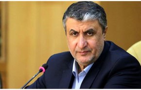 اسلامی: روابط ایران و آژانس بر مبنای پادمان و NPT است