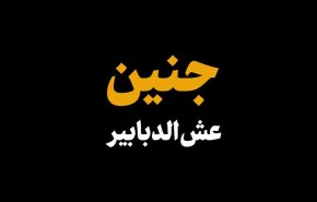 جنين، عشّ الدبابير