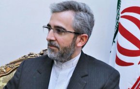 باقری: سوئد و دانمارک جلوی وحشی‌گری فرهنگی را در کشورهای خود بگیرند