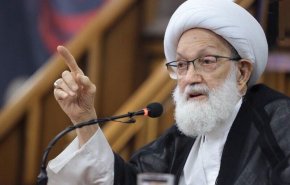 آیت الله عیسی قاسم: تمام هدف انقلاب کربلا پیروزی اسلام است
