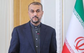 امیرعبداللهیان: ایران در حوزه انرژی و تامین امنیت پایدار ارزش افزوده مهمی برای اعضای بریکس است