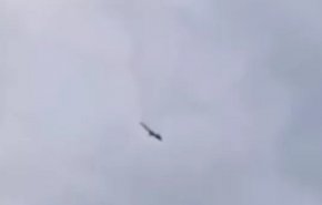 روسیه هدف قرار گرفتن جت شخصی «پریگوژین» را رد کرد
