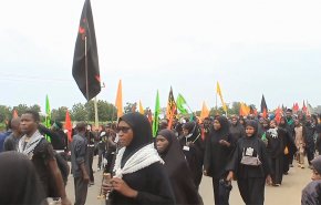 شاهد.. إحياء ذكرى اربعينية الامام الحسين (ع) في نيجيريا  