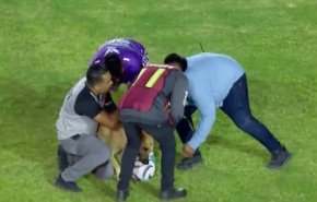 مشهد طريف...كلب يدخل ملعب مباراة ويسرق الكرة! +فيديو