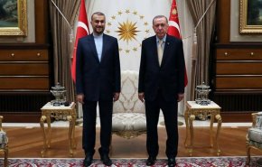 امیرعبداللهیان با اردوغان دیدار کرد
