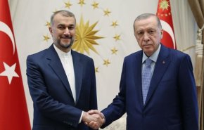 امیرعبداللهیان: کشورهای اسلامی برای پایان بخشیدن به جنایات صهیونیست‌ها فورا اقدام کنند
