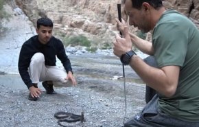 شاهد/عراقي يواجه أفعى الكوبرا بشجاعة.. أشرس الثعابين السامة
