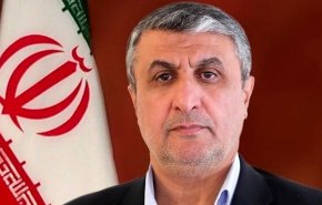 اسلامی: صهیونیست‌ها به داشتن سلاح هسته‌ای اعتراف کردند