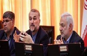 امیرعبداللهیان: مقاومت اسلامی با تحلیل درست شرایط، تصمیمات هوشمندانه‌ای را اتخاذ کرده است