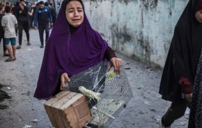 آنروا : ۷۴ درصد از شهدا را زنان و کودکان تشکیل می‌دهند