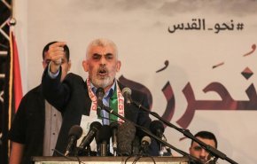 ارتش رژیم صهیونیستی: برادر السنوار هم با اسرای اسرائیلی دیدار کرده است