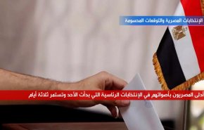 باختصار.. الانتخابات المصرية
