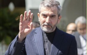 باقري في طوكيو لبحث العلاقات الثنائية والاقليمية
