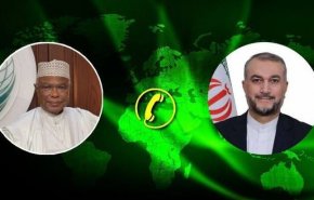 ایران خواستار تحرک بیشتر سازمان همکاری اسلامی برای توقف حملات به غزه شد
